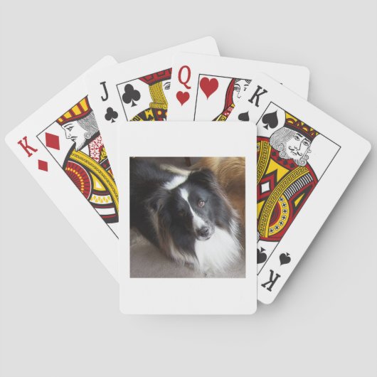 Shetland Sheepdog Schwarz und Weiß Spielkarten (Rückseite)
