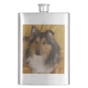Shetland_Sheepdog Schwarz-weiß Flachmann