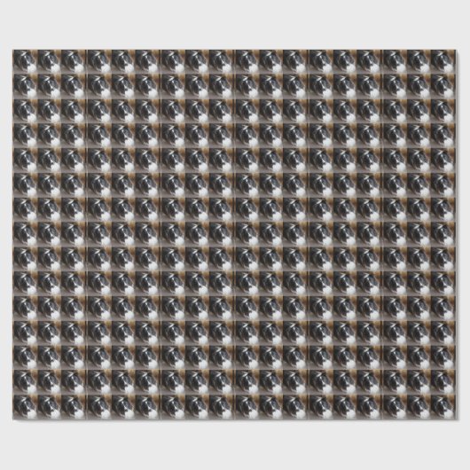 Shetland Sheepdog Schwarz-Weiß Geschenkpapier (Flach)