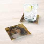 Shetland_Sheepdog Schwarz-weiß Glasuntersetzer (Schrägansicht)