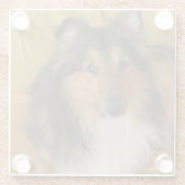 Shetland_Sheepdog Schwarz-weiß Glasuntersetzer (Rückseite)