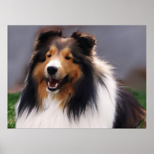 Shetland Sheepdog Sheltie Art Geschenke Poster