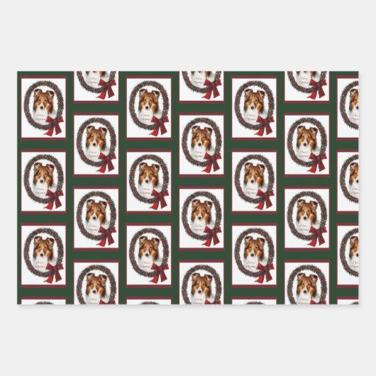 Shetland Sheepdog Sheltie Christmas Geschenkpapier Set (Vorderseite)