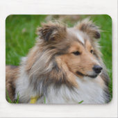 Shetland Sheepdog - Sheltie Dog Mousepad (Vorne)