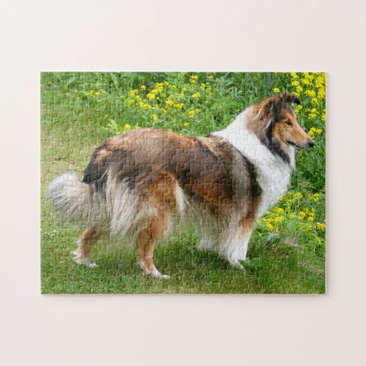 Shetland Sheepdog - Sheltie Dog Puzzle (Horizontal)