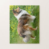 Shetland Sheepdog - Sheltie Dog Puzzle (Vertikal)