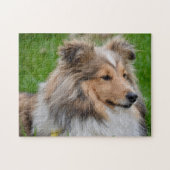 Shetland Sheepdog - Sheltie Dog Puzzle (Horizontal)