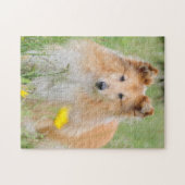 Shetland Sheepdog - Sheltie Dog Puzzle (Horizontal)
