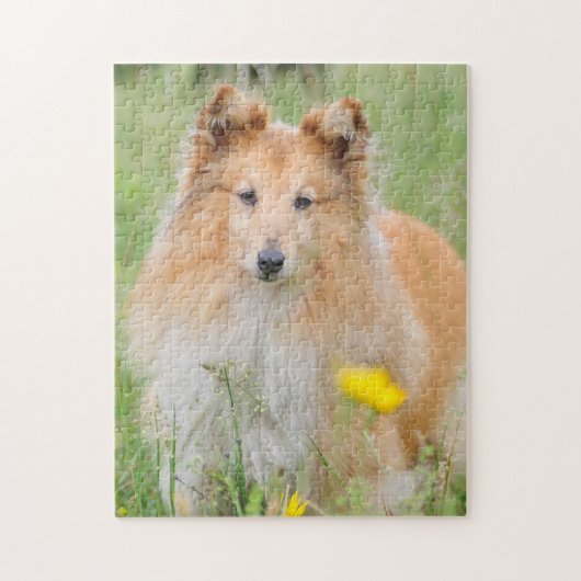 Shetland Sheepdog - Sheltie Dog Puzzle (Vertikal)