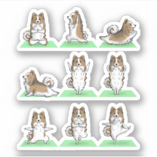 Shetland Sheepdog Sheltie Dog Yoga Pose Workout Ex Aufkleber
