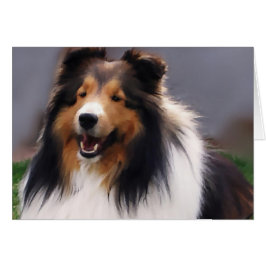 Shetland Sheepdog Sheltie Geschenke