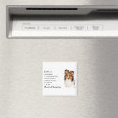 Shetland Sheepdog Sheltie Geschenke Magnet (In Situ (Geschirrspüler))