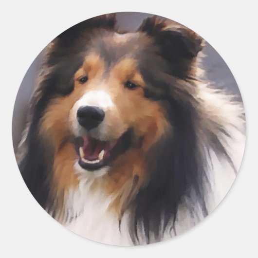 Shetland Sheepdog Sheltie Geschenke Runder Aufkleber (Vorderseite)