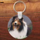 Shetland Sheepdog Sheltie Geschenke Schlüsselanhänger (Vorderseite)