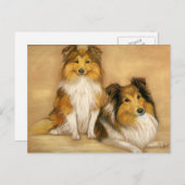 Shetland Sheepdog Sheltie Hund Kunst Postkarte (Vorne/Hinten)