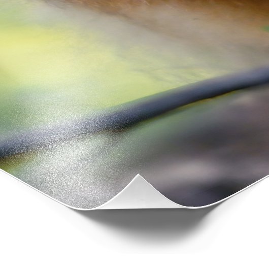 Shetland Sheepdog Sheltie kleiner Hund im Wald Jig Fotodruck (Ecke)