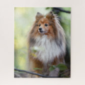 Shetland Sheepdog Sheltie kleiner Hund im Wald Puzzle (Vertikal)