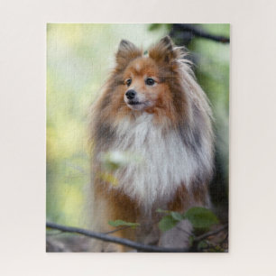 Shetland Sheepdog Sheltie kleiner Hund im Wald Puzzle