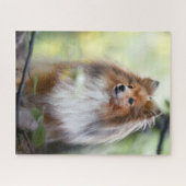 Shetland Sheepdog Sheltie kleiner Hund im Wald Puzzle (Horizontal)