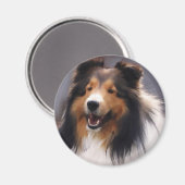 Shetland Sheepdog Sheltie Kunst Geschenke Magnet (Vorderseite/Rückseite)