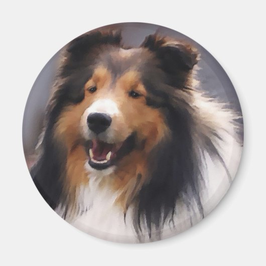 Shetland Sheepdog Sheltie Kunst Geschenke Magnet (Vorne)