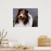 Shetland Sheepdog Sheltie Kunst Geschenke Poster (Küche)