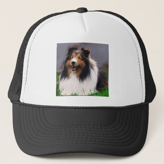 Shetland Sheepdog Sheltie Kunst Geschenke Truckerkappe (Vorderseite)
