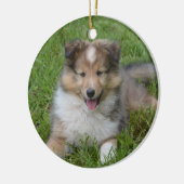 Shetland Sheepdog - Sheltie Puppy Dog Keramik Ornament (Links)