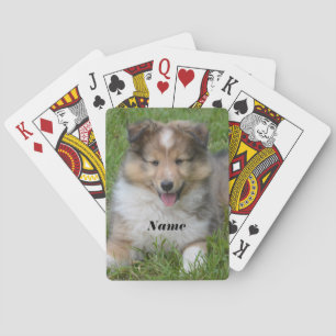Shetland Sheepdog - Sheltie Puppy Dog Spielkarten