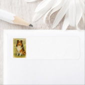Shetland Sheepdog Sitting Watercolor  (Insitu)
