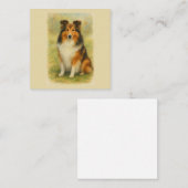 Shetland Sheepdog Sitting Watercolor Mitteilungskarte (Vorne/Hinten)