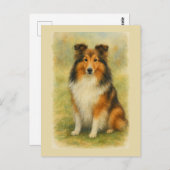 Shetland Sheepdog Sitting Watercolor Postkarte (Vorne/Hinten)