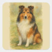 Shetland Sheepdog Sitting Watercolor Quadratischer Aufkleber (Vorderseite)
