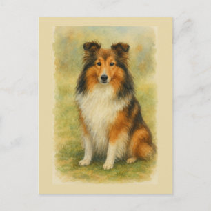 Shetland Sheepdog sitzend Aquarell Postkarte