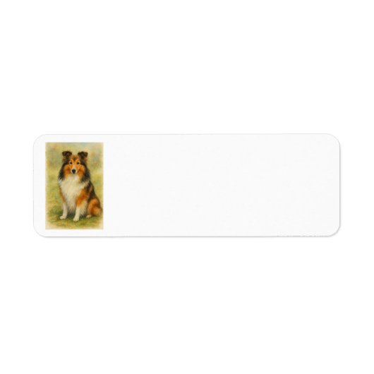 Shetland Sheepdog sitzt Aquarell  (Vorne)