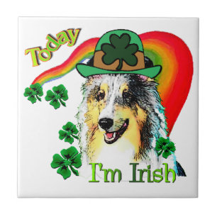 Shetland Sheepdog St Patricks Fliese