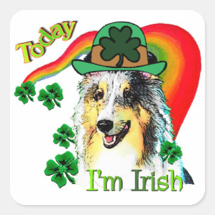 Shetland Sheepdog St Patricks Quadratischer Aufkleber