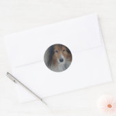 Shetland Sheepdog Stickers (Umschlag)