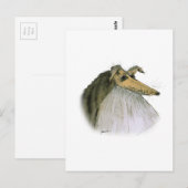 Shetland Sheepdog, tony fernandes Postkarte (Vorne/Hinten)