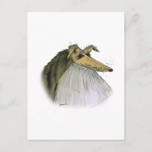 Shetland Sheepdog, tony fernandes Postkarte (Vorderseite)