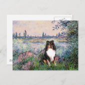 Shetland Sheepdog (Tri) - An der Seine Postkarte (Vorne/Hinten)