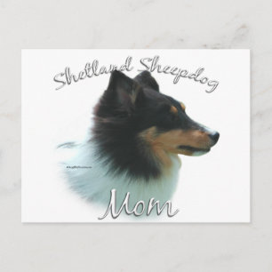 Shetland Sheepdog (tri) Mama 2 Postkarte