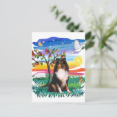 Shetland Sheepdog (Tri) Postkarte (Stehend Vorderseite)
