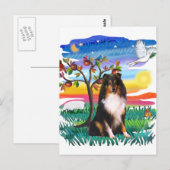 Shetland Sheepdog (Tri) Postkarte (Vorne/Hinten)