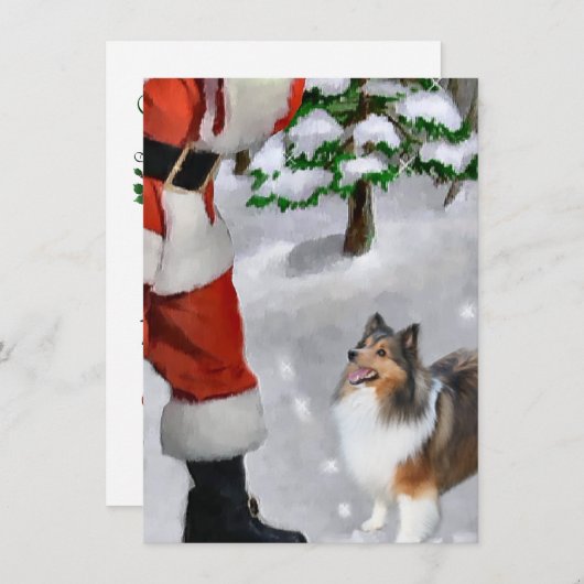 Shetland Sheepdog trifft Weihnachtskarte (Vorne/Hinten)