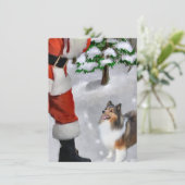 Shetland Sheepdog trifft Weihnachtskarte (Stehend Vorderseite)
