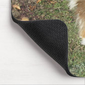 Shetland Sheepdog Voll Sekunde Mousepad (Ecke)
