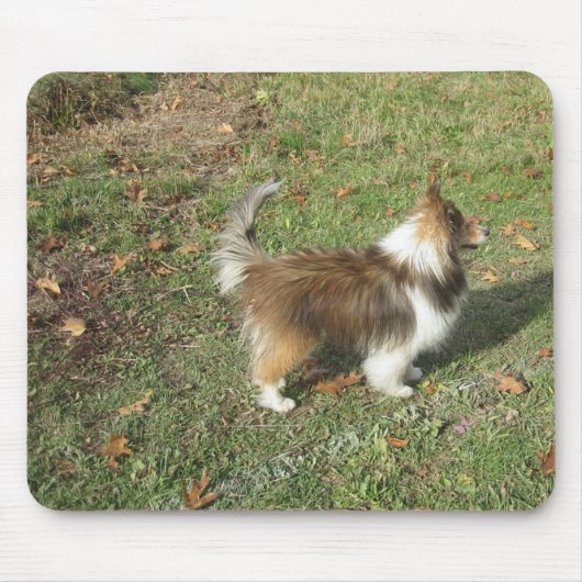 Shetland Sheepdog Voll Sekunde Mousepad (Vorne)