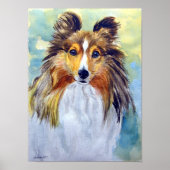 Shetland Sheepdog Wall Poster (Vorne)