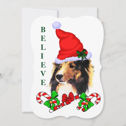 Shetland Sheepdog Weihnachten (Vorderseite)
